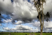 Gazprom公(gōng)佈(bù)第三季度淨(jìng)利17.2亿美元